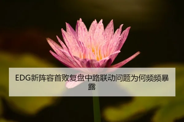 EDG新阵容首败复盘中路联动问题为何频频暴露