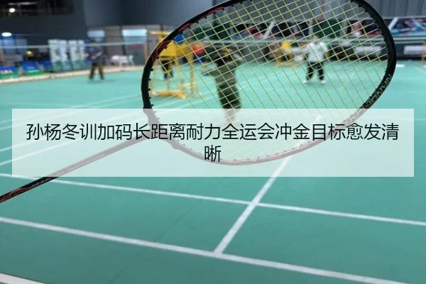 孙杨冬训加码长距离耐力全运会冲金目标愈发清晰