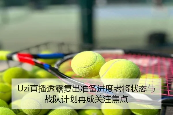 Uzi直播透露复出准备进度老将状态与战队计划再成关注焦点